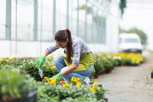 Gardener pruning a front garden in Queens Park
