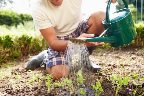 Professional garden clearance service in Queens Park