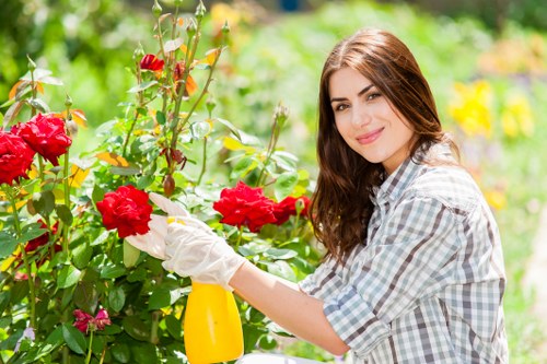 Worker with man and van preparing to collect garden waste