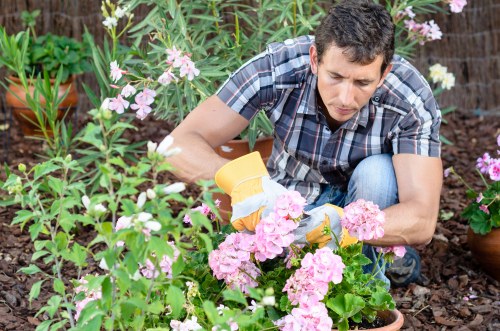 Local garden clearance experts at work
